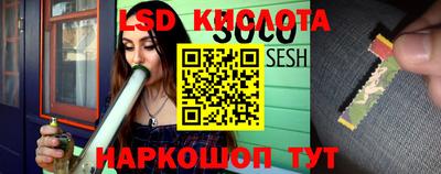 молекула духа Берёзовский
