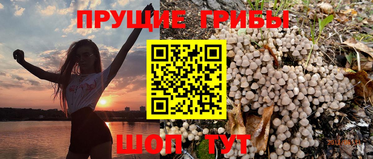 Галлюциногенные грибы мухоморы  Галлюциногенные грибы Psilocybine cubensis  Вход с VPN  Будённовск 