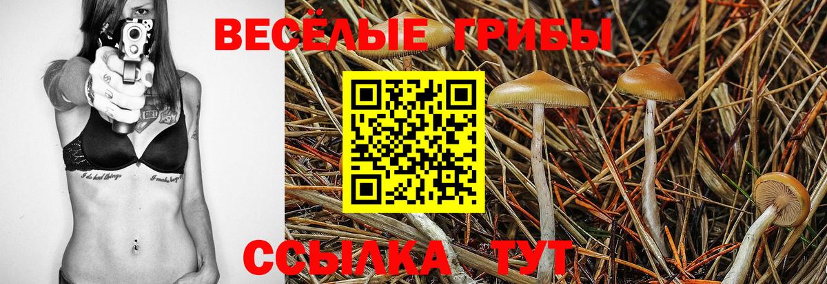 Галлюциногенные грибы прущие грибы Будённовск